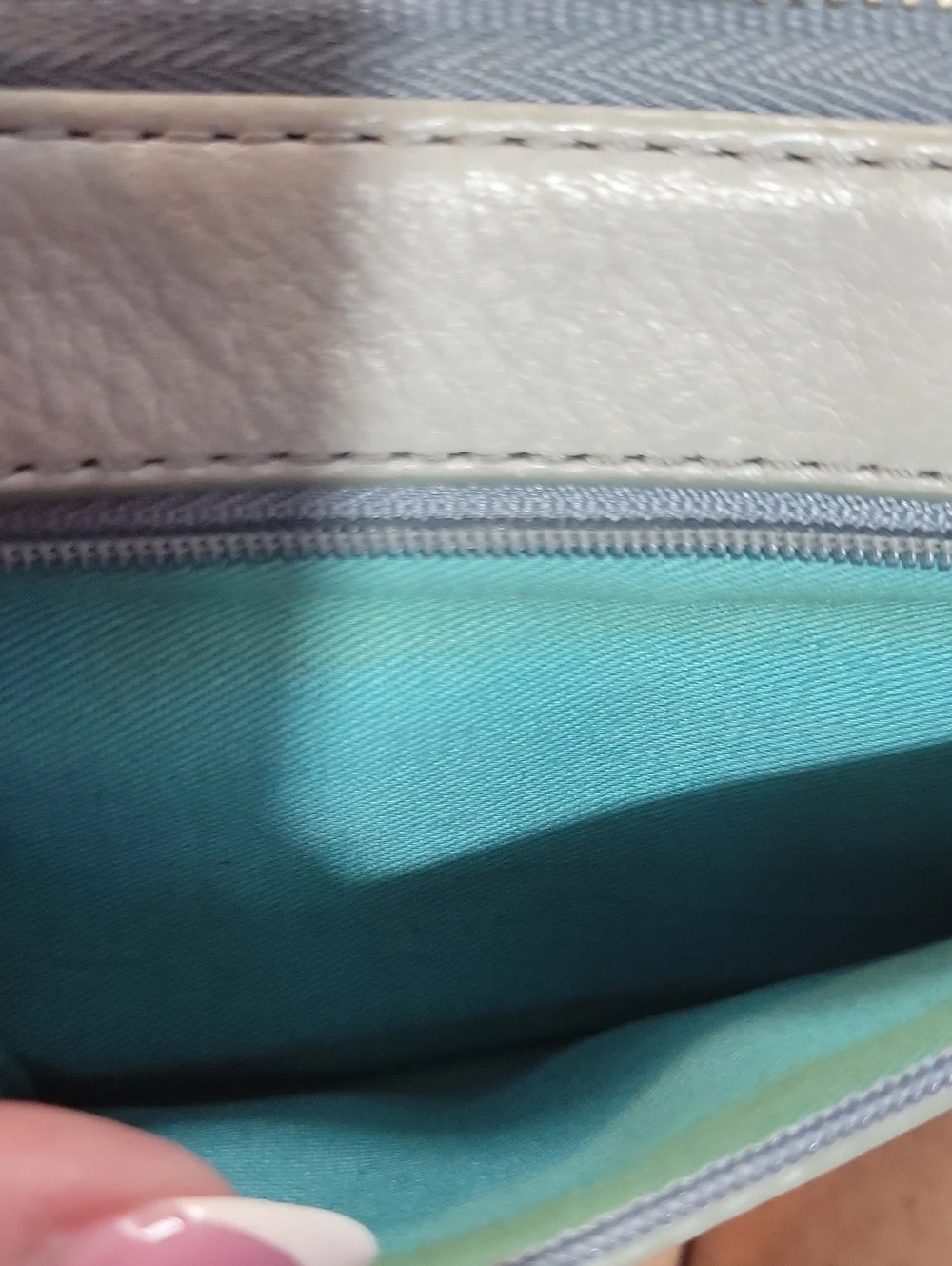 Fossil zip around